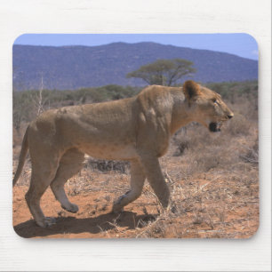 Löwe 3 mousepad