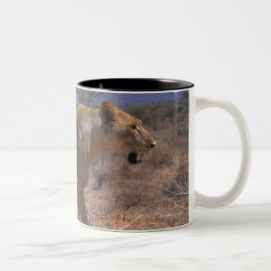 Löwe 3 zweifarbige tasse