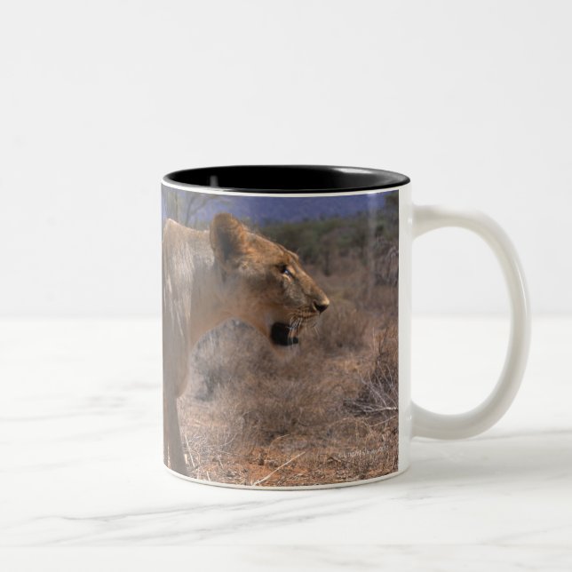 Löwe 3 zweifarbige tasse (Rechts)