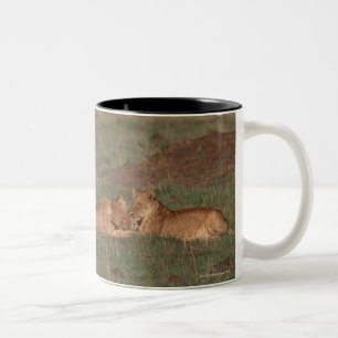 Löwe 4 zweifarbige tasse