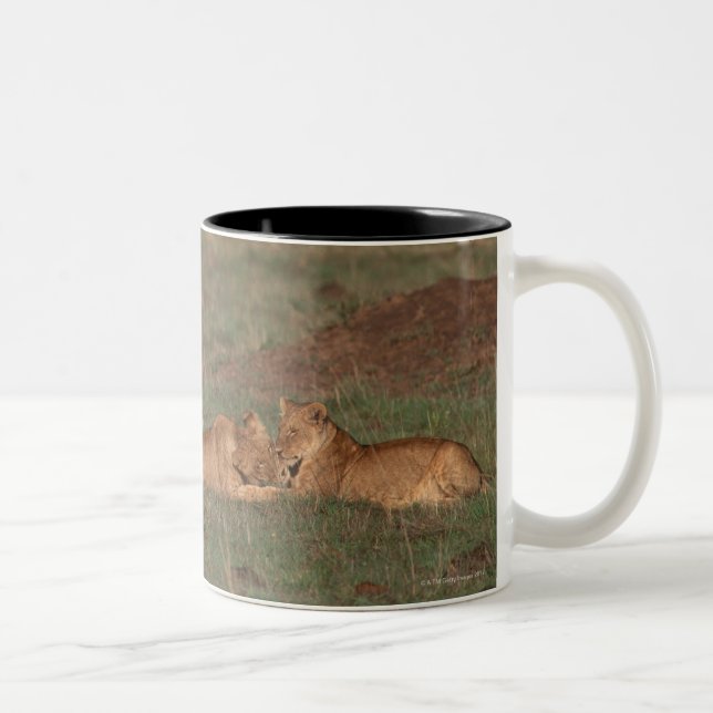 Löwe 4 zweifarbige tasse (Rechts)