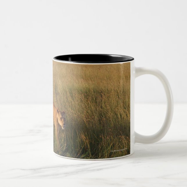 Löwe 6 zweifarbige tasse (Rechts)
