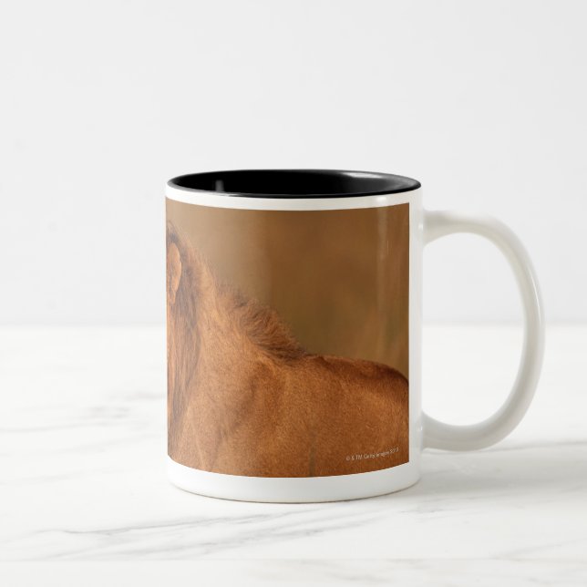 Löwe 8 zweifarbige tasse (Rechts)