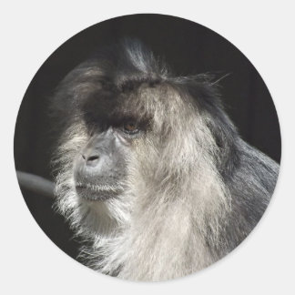 Löwe-Angebundenes Macaque-Porträt Runder Aufkleber