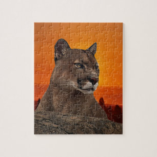 Löwe bei Sonnenuntergang