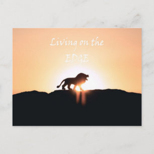 Löwe bei Sonnenuntergang Leben auf der EDGE Postkarte