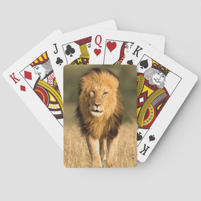 Löwe beim Gehen Spielkarten (Rückseite)