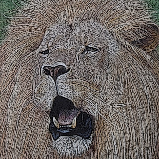 Löwe brüllt große Katze Wildlebewesen realistische Flachmann (Von Creator hochgeladen)