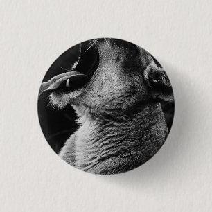 Löwe Button