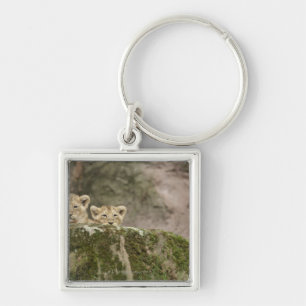 Löwe CUB, das über Felsen späht Schlüsselanhänger