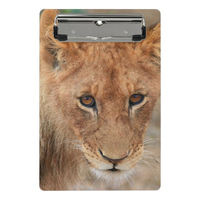 Löwe CUB Mini Klemmbrett (Vorderseite)