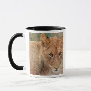 Löwe CUB Tasse