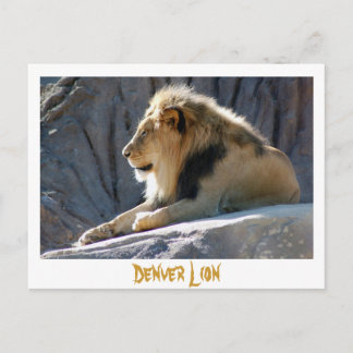 Löwe, Denver Lion Postkarte