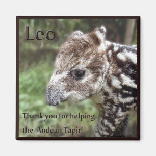 Löwe der AndenTapir Magnet