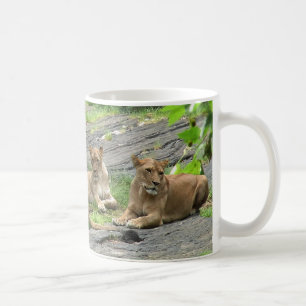 Löwe-Familie an der Erholungs-Tasse Kaffeetasse