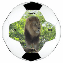 Löwe - Feldkönig - Fußballball Fußball