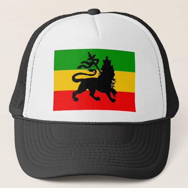 Löwe-Flagge Truckerkappe (Vorderseite)