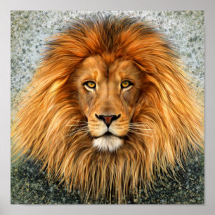Löwe-Fotografie-Farben-Kunstbild Poster