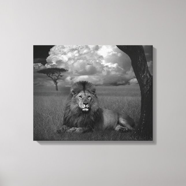 Löwe im Gras Leinwanddruck (Vorderseite)
