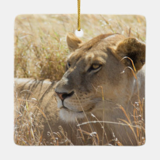 Löwe im Legen in das hohe Serengeti Gras Keramikornament