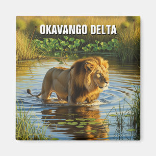 Löwe im Okavango-Delta Botswana Magnet