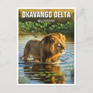 Löwe im Okavango-Delta Botswana Postkarte