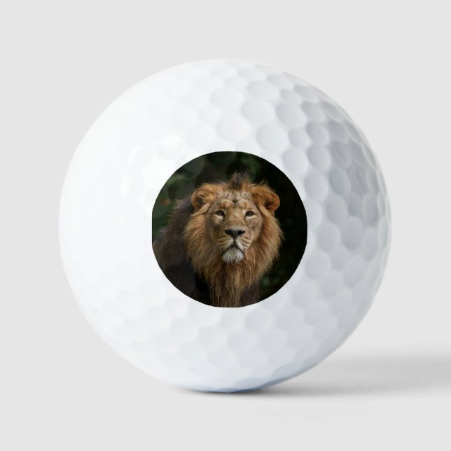 Löwe in den Schatten Golfball (Vorderseite)