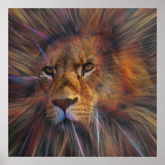 Löwe in der Galerie Poster (Vorne)