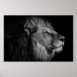 Löwe in Schwarz und Weiß Poster