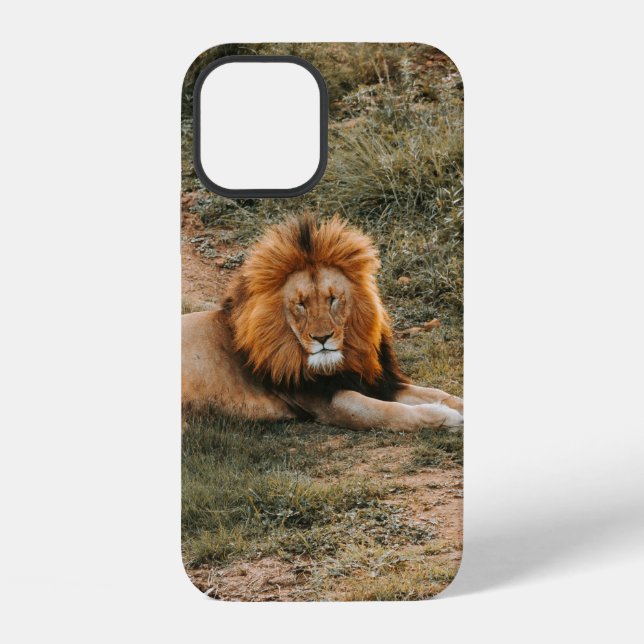 LÖWE iPhone 12 HÜLLE (Rückseite)
