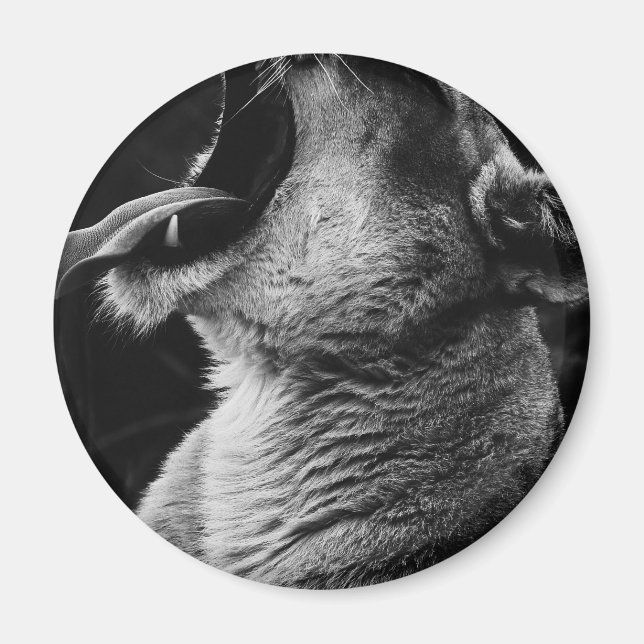 Löwe Magnet (Vorne)