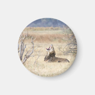 Löwe Magnet