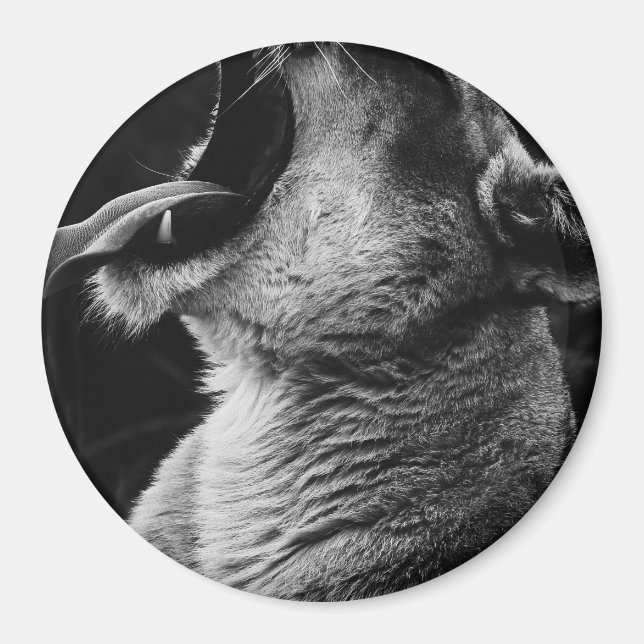 Löwe Magnet (Vorne)