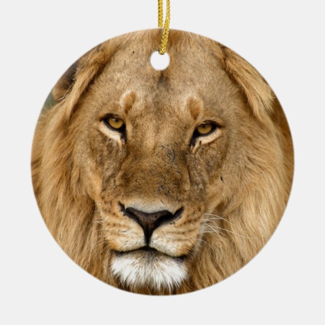 Löwe mit großer Mane, Keramik Keramik Ornament (Vorne)