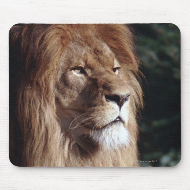 Löwe Mousepad (Vorne)