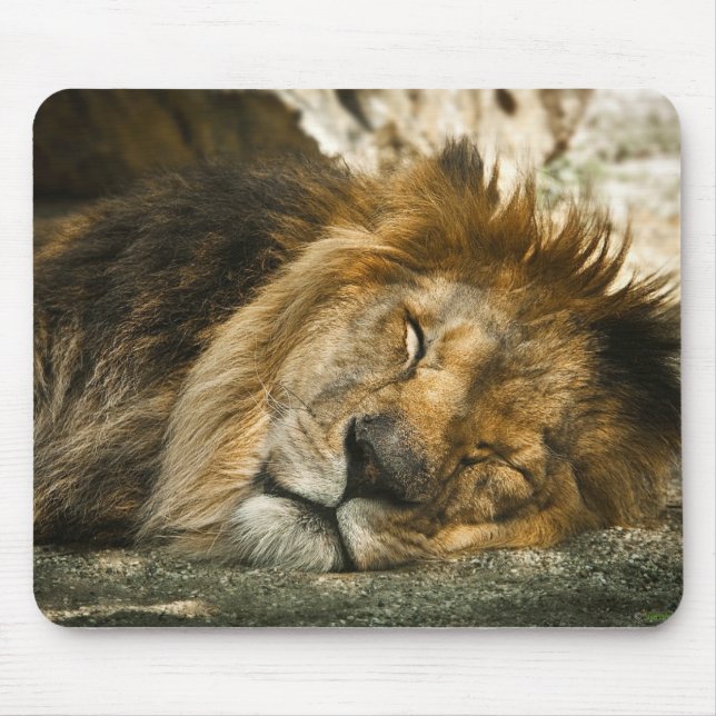 Löwe Mousepad (Vorne)