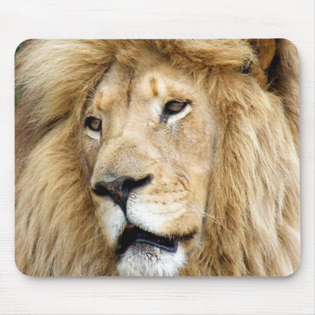 Löwe Mousepad (Vorne)