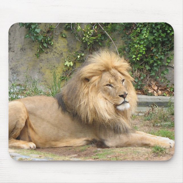 Löwe Mousepad (Vorne)