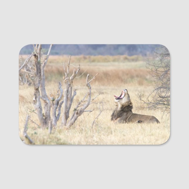 Löwe Namensschild (Vorderseite)