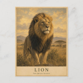 Löwe Ostafrikanische Savanne VINTAGE Postkarte