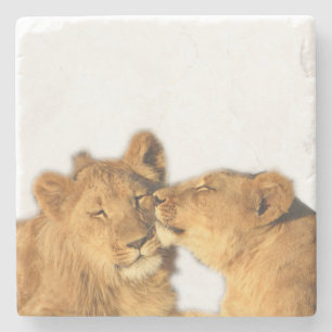 Löwe-Paar-Stein-Untersetzer Steinuntersetzer