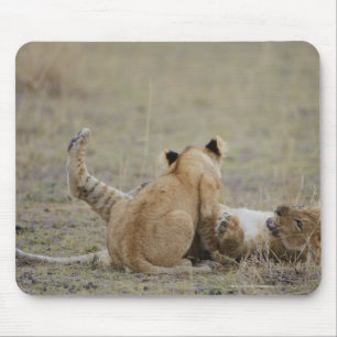 Löwe (Panthera Löwe) wirft das Spielen im Gras, Mousepad