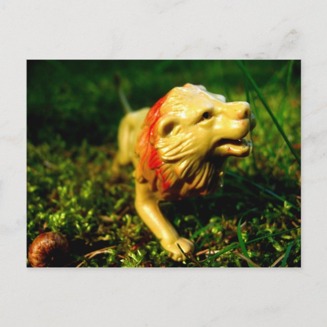 Löwe Postkarte (Vorderseite)