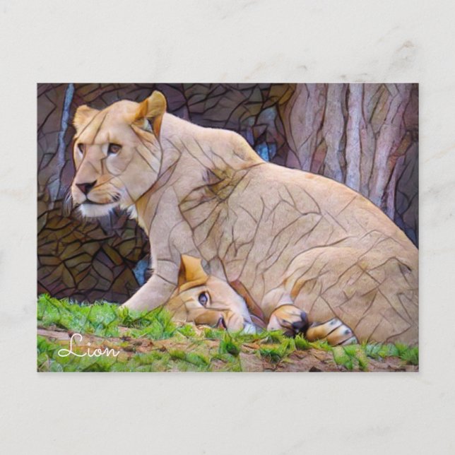 Löwe [Postkarte] Postkarte (Vorderseite)