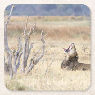 Löwe Rechteckiger Pappuntersetzer