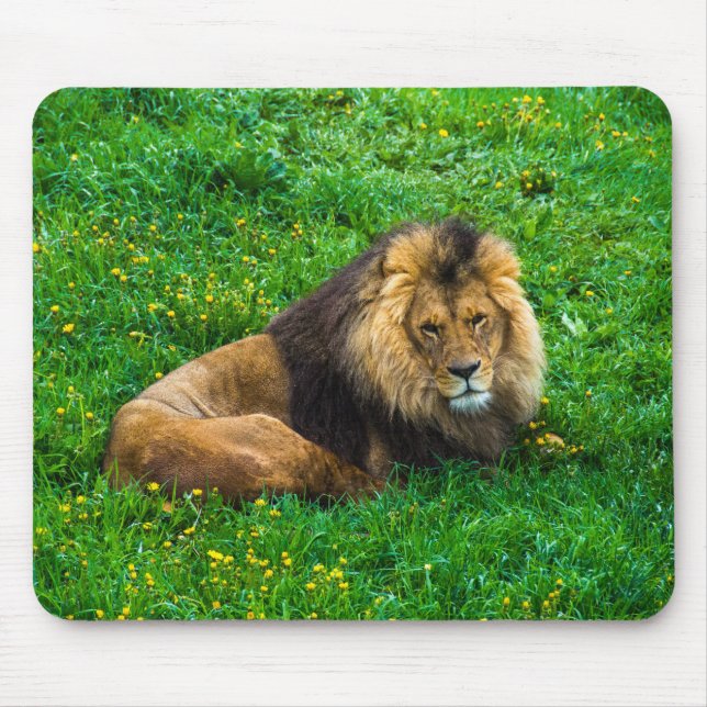 Löwe Relaxen im grünen Gras-Foto Mousepad (Vorne)