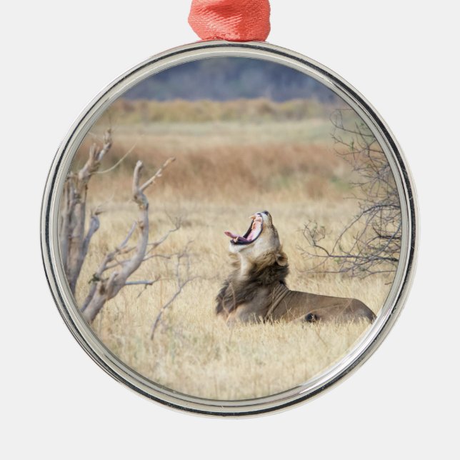 Löwe Silbernes Ornament (Vorne)