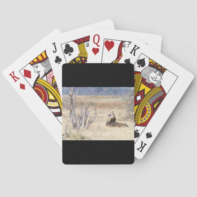 Löwe Spielkarten (Rückseite)