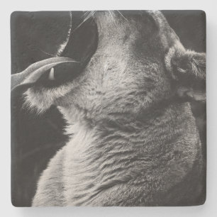 Löwe Steinuntersetzer