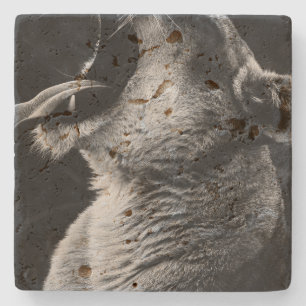 Löwe Steinuntersetzer